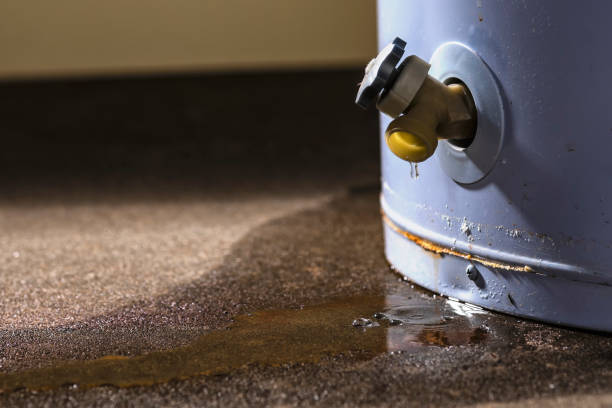 Best Water damage contractors near me  in Stafford, TX