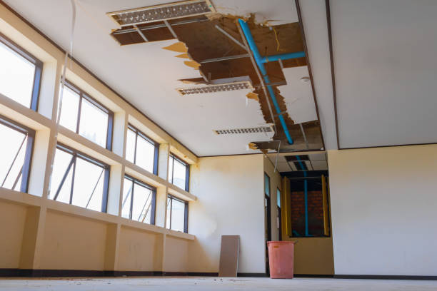 Best 24-hour water damage restoration  in Stafford, TX