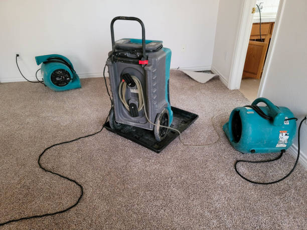 Best Water damage restoration experts  in Stafford, TX
