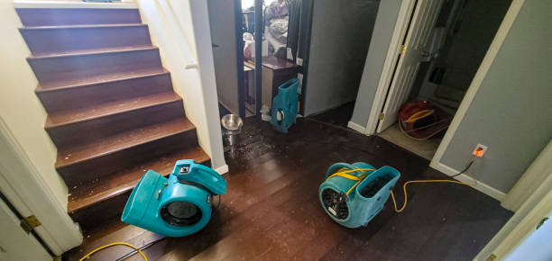 Best Water damage mitigation services  in Stafford, TX