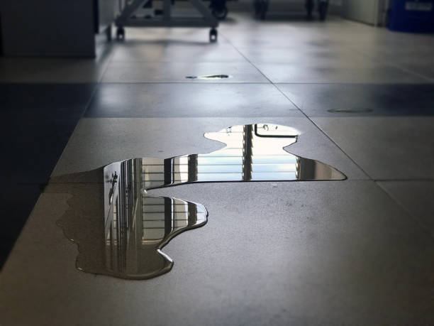 Water damage restoration experts in TX
