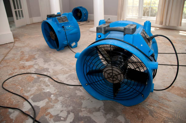 Best Fire Damage Restoration  in Stafford, TX