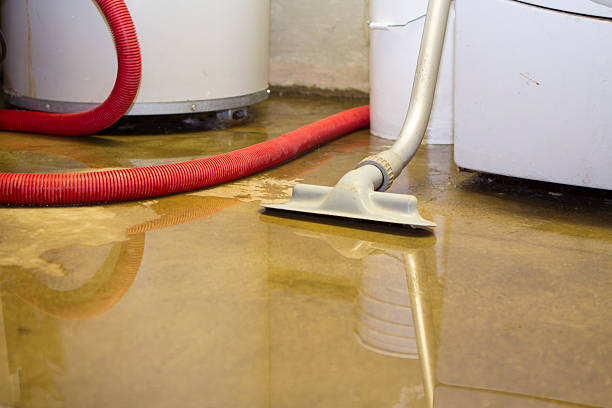 Best Water damage restoration near me  in Stafford, TX