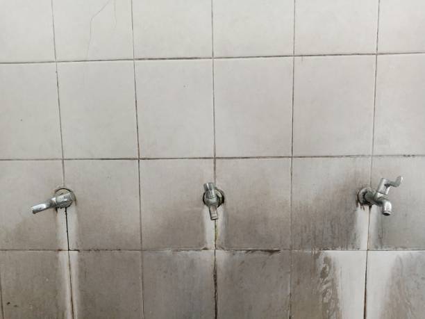 Best Flooded house restoration  in Stafford, TX