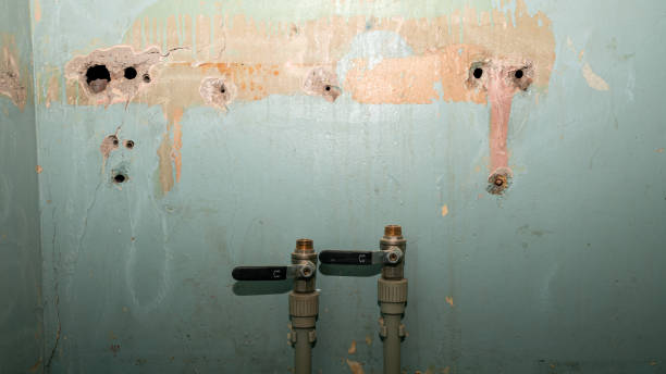  Stafford, TX Water damage restoration Pros