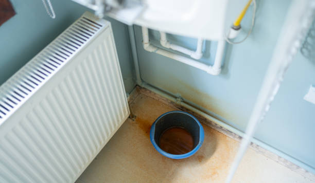 Best Mold removal after water damage  in Stafford, TX