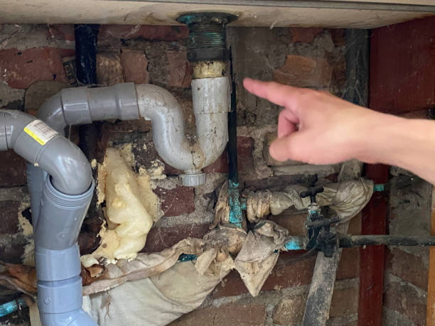 Best Ceiling water damage repair  in Stafford, TX