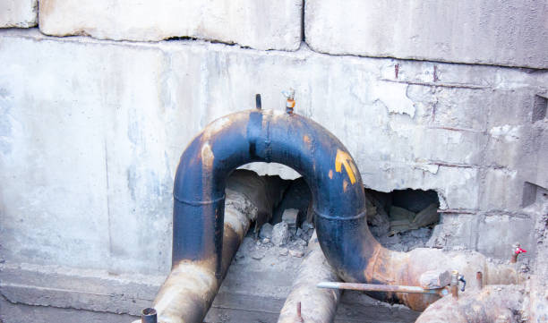 Best Flood restoration services  in Stafford, TX