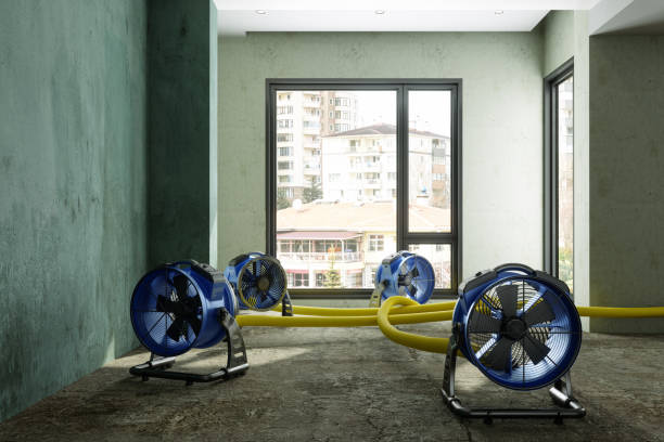 Best Water damage cleanup near me  in Stafford, TX